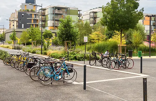 SAP 2009