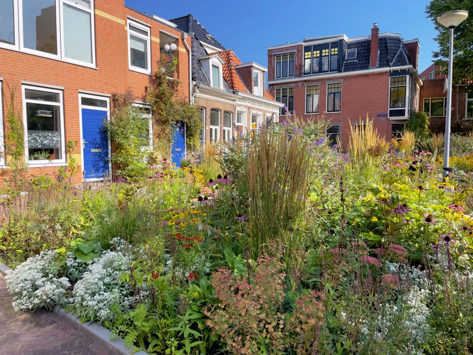 BREEAM webinar: Healthy homes by design – why getting it right the first time matters