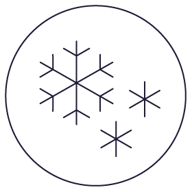 frozen icon